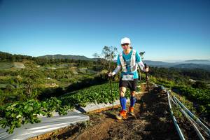 BIB: 
                            <button type="button" onclick="openModal(19115615)" class="btn btn-primary btn-sm float-right btn-popup" data-toggle="modal" data-target=".modal-high-quality">
                        <i class="fas fa-shopping-cart"></i> Add to Cart
                    </button>
                                            <button type="button" onclick="isThisMe(19115615, true)" class="btn btn-success btn-sm float-right btn-popup btn-isme hidden" data-toggle="tooltip" data-placement="bottom" title="นี่คือรูปของคุณใช่ไหม คลิกที่นี่เพื่อเอาเข้าอัลบั้ม">
                        <i class="fas fa-plus"></i> Add to album
                    </button>
                    <button type="button" onclick="isThisMe(19115615, false)" class="btn btn-warning btn-sm float-right btn-popup btn-isnotme hidden">
                        <i class="fas fa-ban"></i> Remove from album
                    </button>